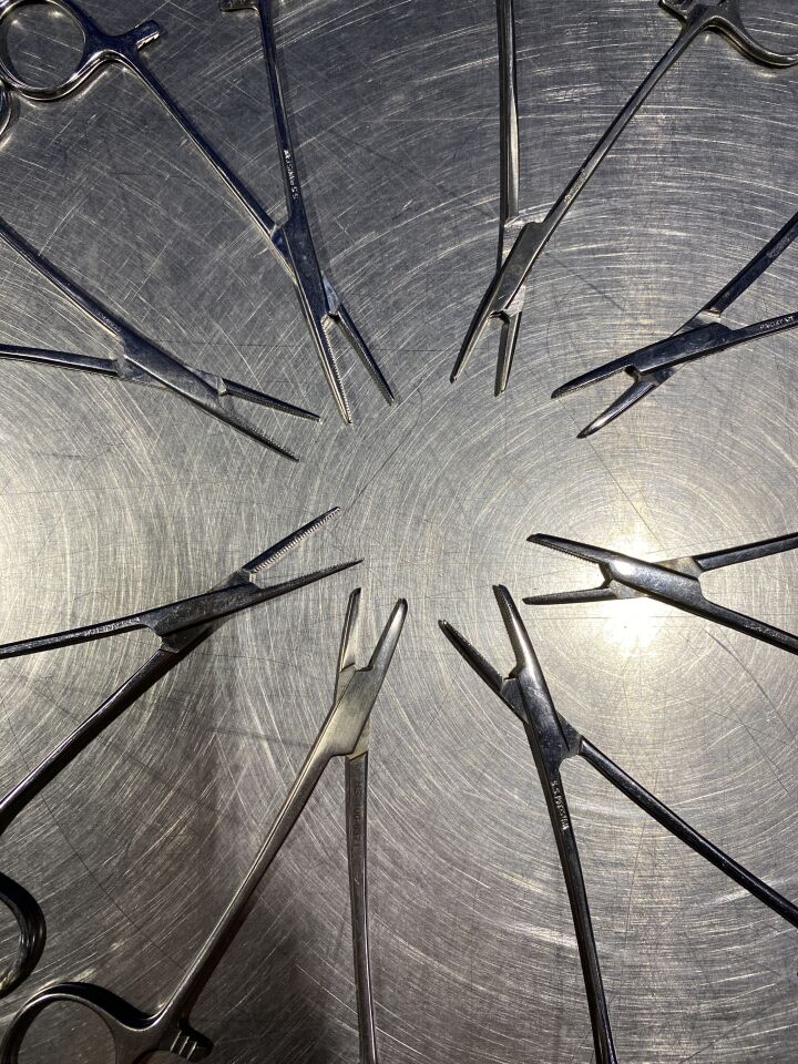 PAKISTAN Hemostatic Forceps and Straight Kelly - Lot of 8