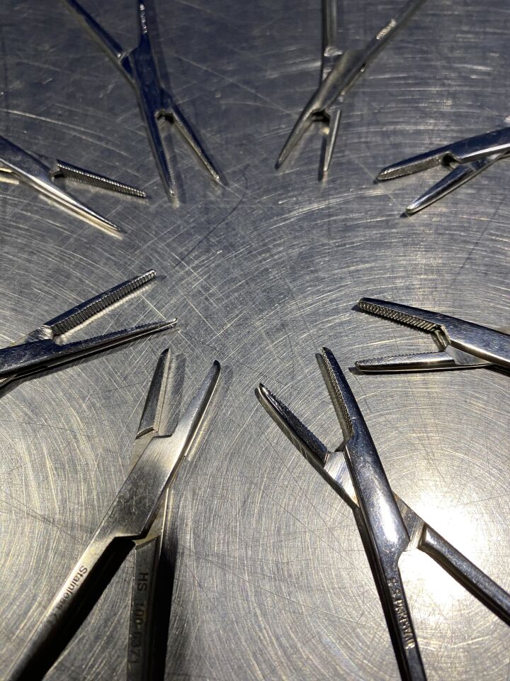 PAKISTAN Hemostatic Forceps and Straight Kelly - Lot of 8