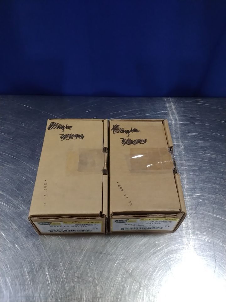 APOLLO VALVES 19-EDCL-40CE Safety Valve