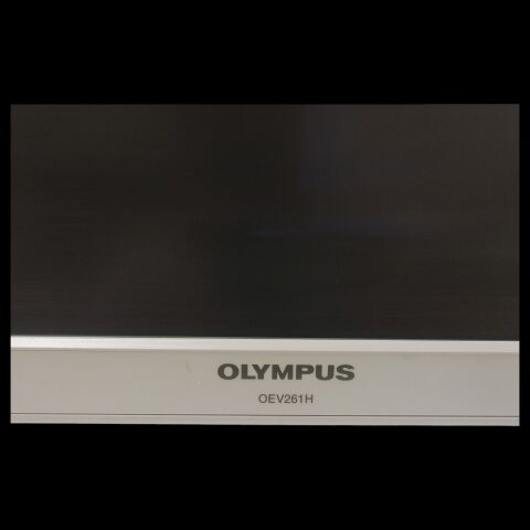 OLYMPUS OEV-261H Display Monitor