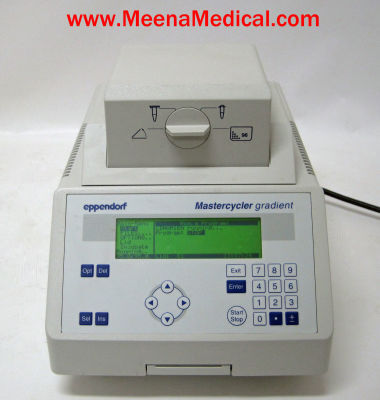 EPPENDORF Mastercycler Gradient 5331