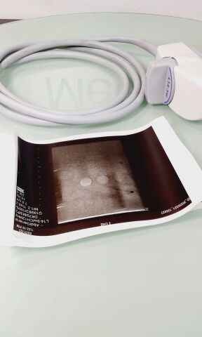 ZONARE L14-5W Ultrasound Transducer