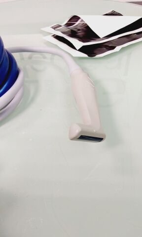 ZONARE L14-5SP Ultrasound Transducer