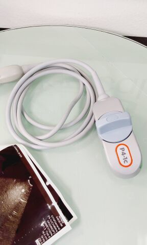 ZONARE P4-1C Ultrasound Transducer