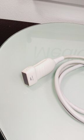 SIEMENS 4V1 Ultrasound Transducer