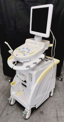 HITACHI HI VISION Avius Ultrasound System