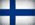 FI flag