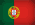 PT flag
