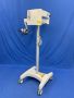 Green Medical Company Limited webstore photographs