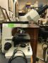 Monterrey Medical Equipment webstore photographs