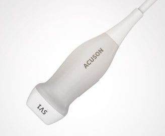 ACUSON/SIEMENS 5V1 Ultrasound Transducer