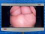 Hessen Medical Ltd webstore photographs