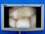 Hessen Medical Ltd webstore photographs