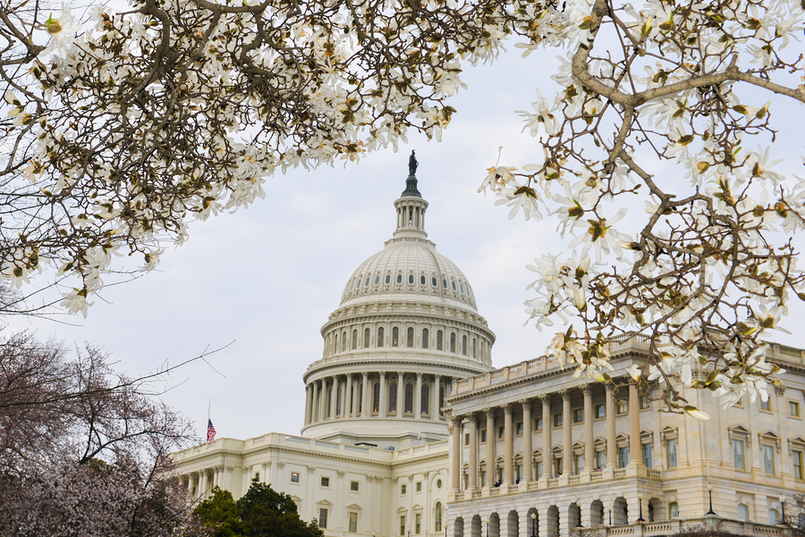 House of Representatives to decide again on Resident Physician Shortage Act